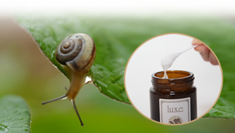 エスカクリーム効用