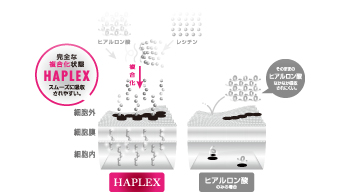 soleil ハプレックスの吸収率